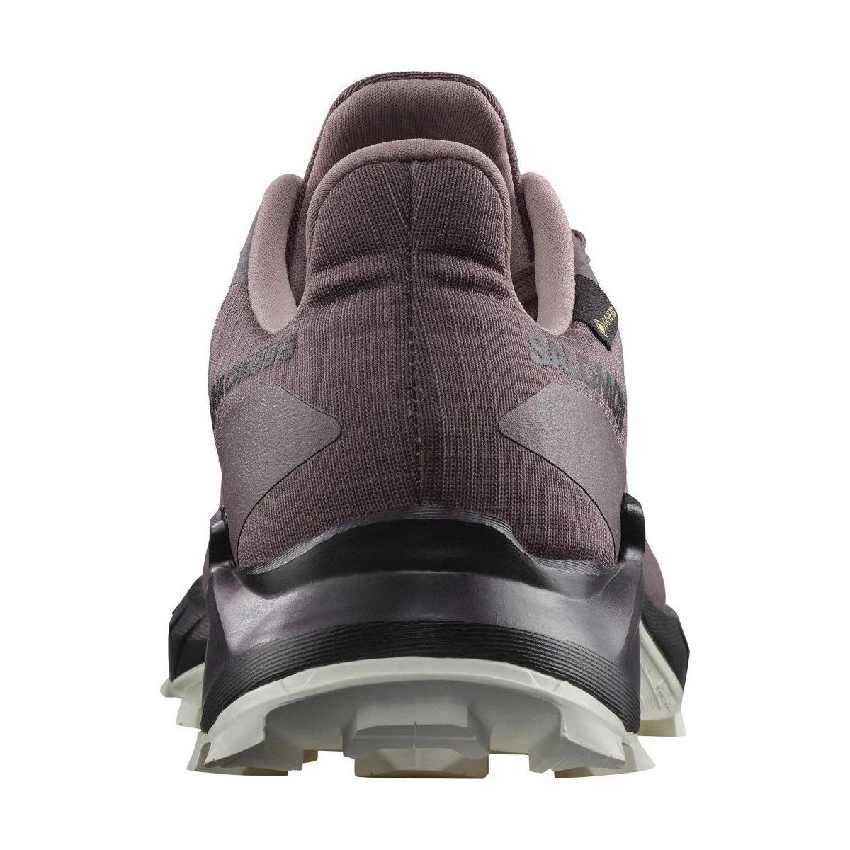 Salomon Alphacross 5 Gore-Tex W Kadın Outdoor Ayakkabı