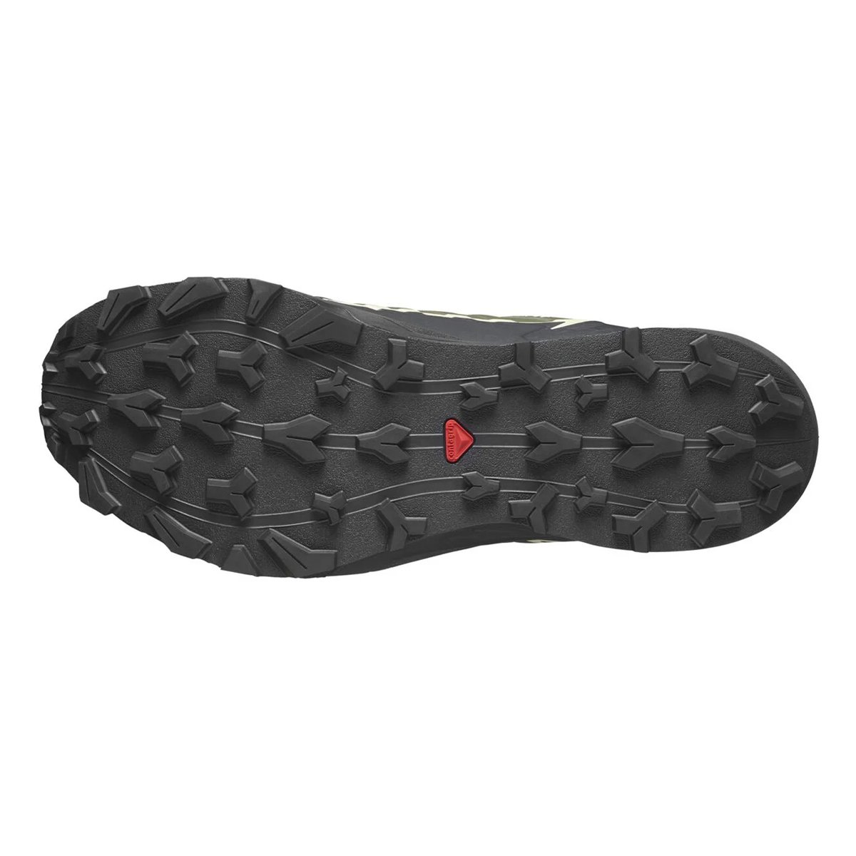 Salomon Alphacross 5 Gore-Tex W Women's Outdoor Shoes