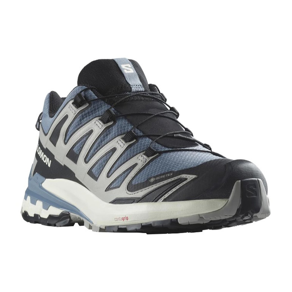 Salomon XA Pro 3D V9 Gore-Tex Men's Outdoor Shoes