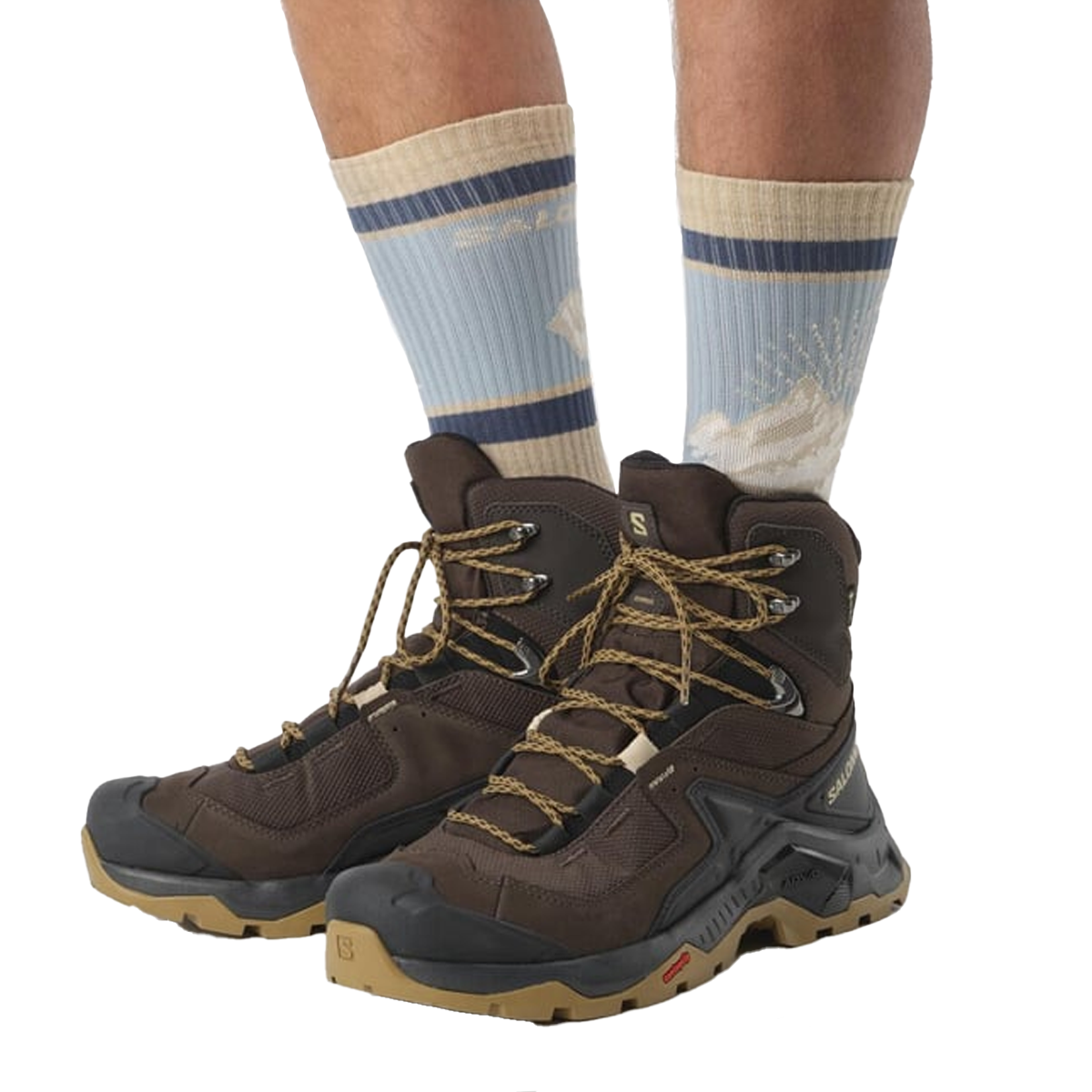 Salomon Quest Element Gore-Tex Erkek Outdoor Bot
