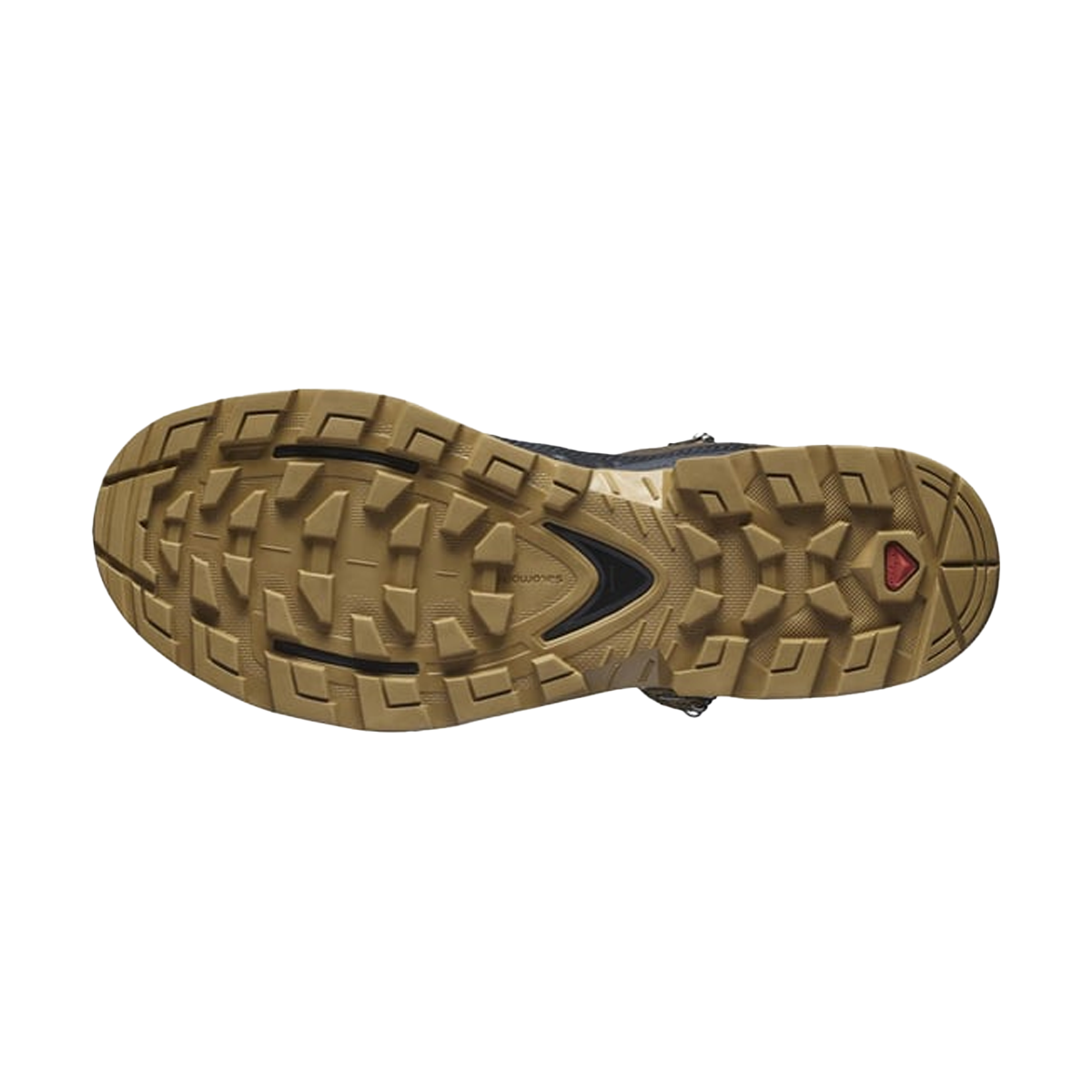 Salomon Quest Element Gore-Tex Erkek Outdoor Bot