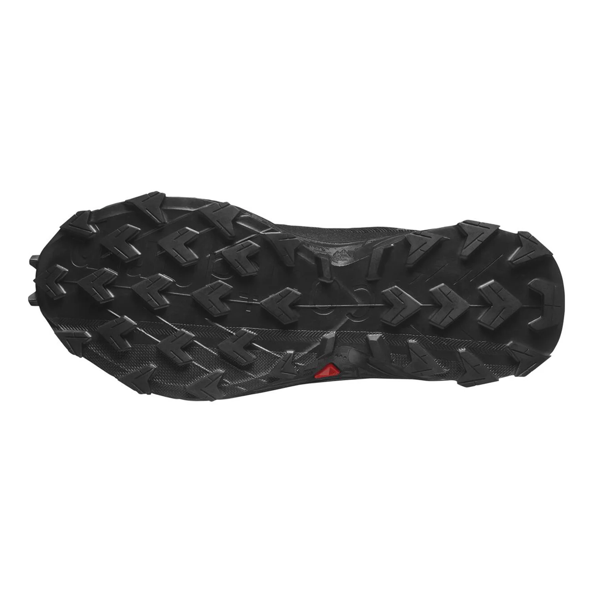 Salomon Alphacross 5 Gore-Tex W Women's Outdoor Shoes